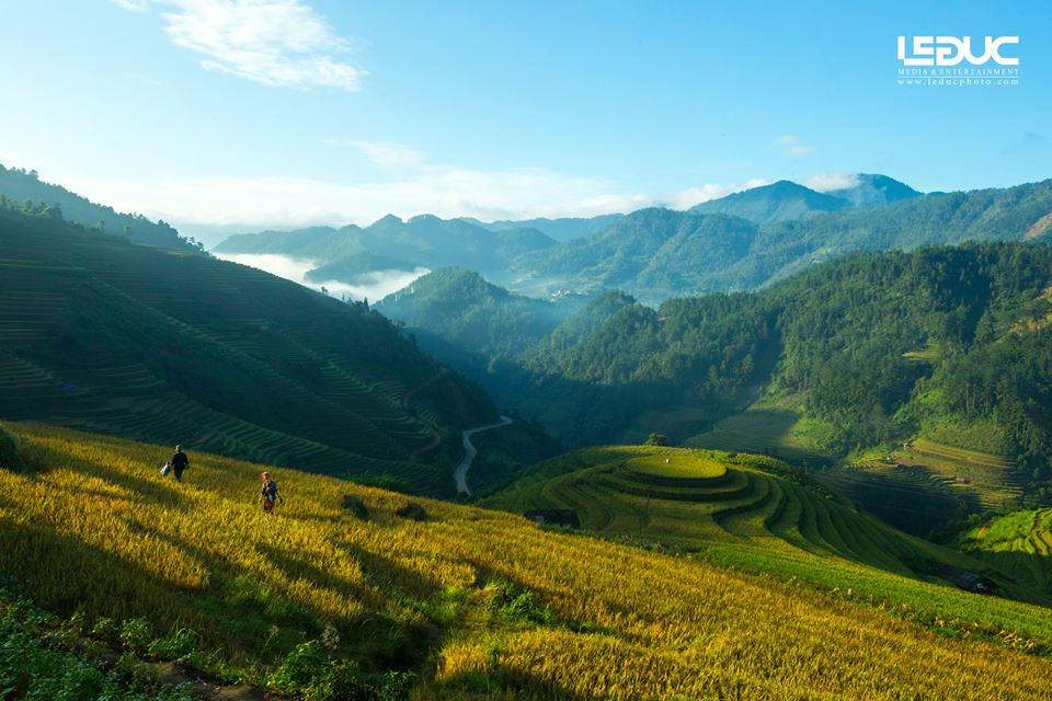 Cộng đồng mạng - “Mùa vàng Tây Bắc” đẹp nao lòng dưới con mắt của nhiếp ảnh gia Hà thành (Hình 10).