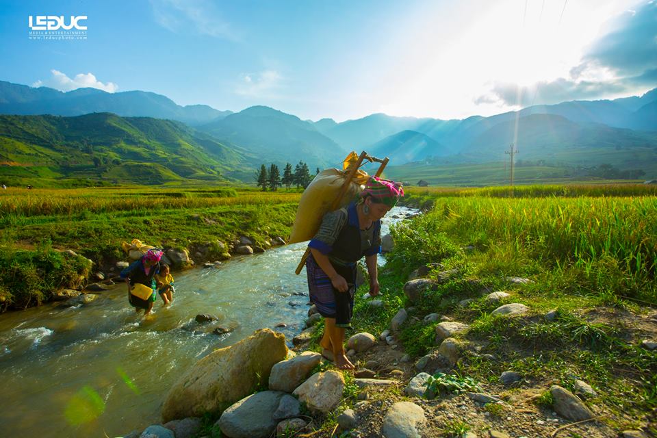 Cộng đồng mạng - “Mùa vàng Tây Bắc” đẹp nao lòng dưới con mắt của nhiếp ảnh gia Hà thành (Hình 3).