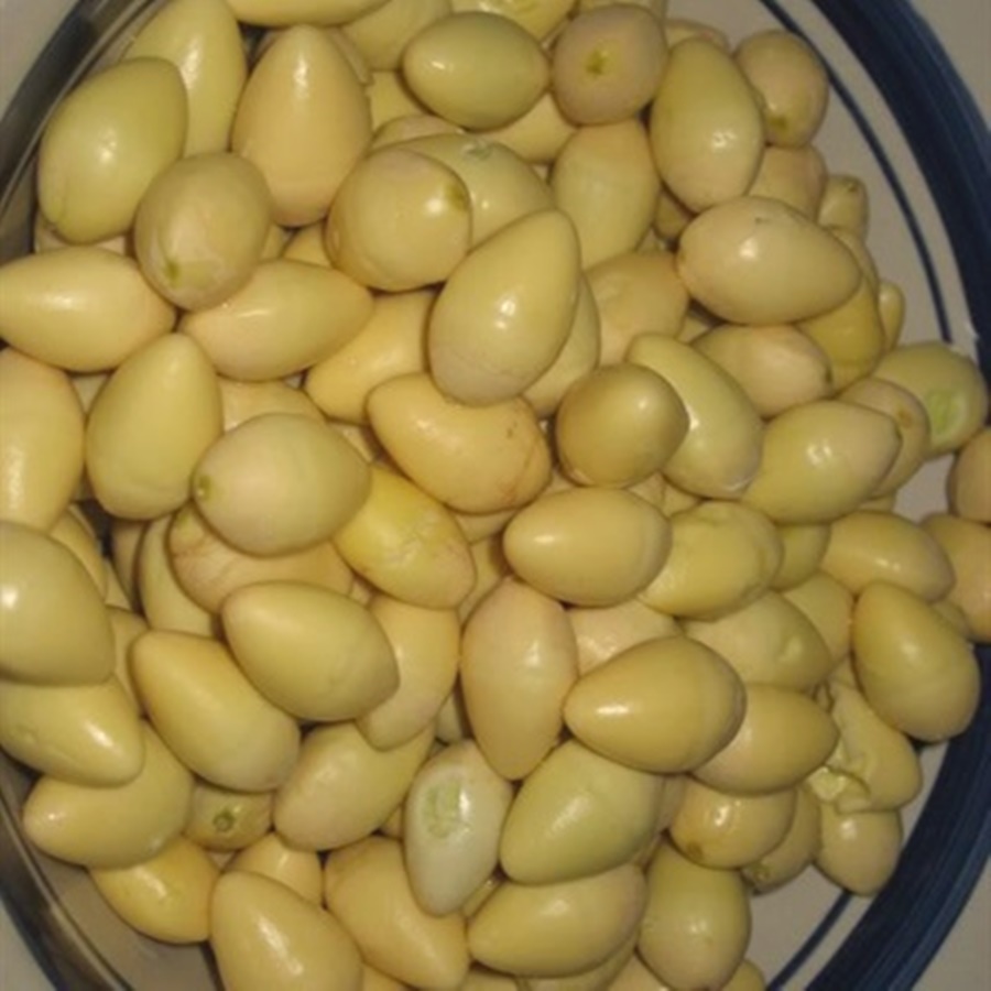 Gia đình - Món ngon mỗi ngày: Đuôi bò hầm atiso bổ dưỡng (Hình 2).