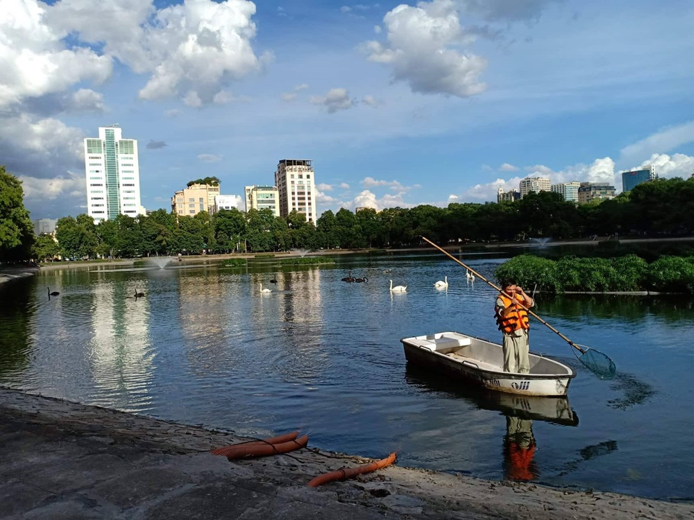 Hàng ngày, công nhân vẫn đi kiểm tra hồ và chăm sóc thiên nga.