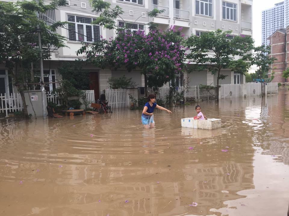 Tin nhanh - Những khoảnh khắc cười ra nước mắt ngày Hà Nội ngập lụt (Hình 3).