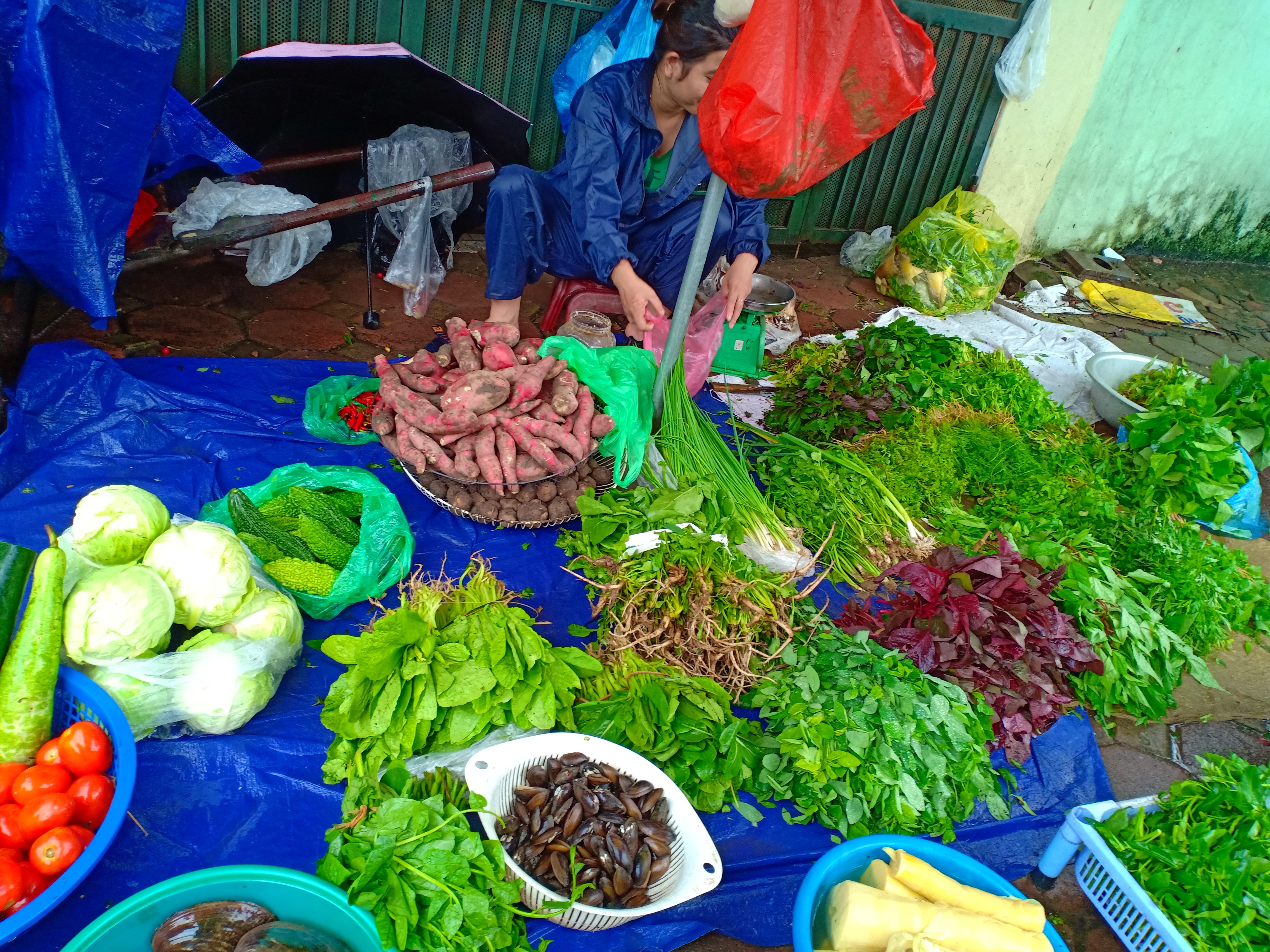 Dân sinh - Hà Nội: Ngập lụt đến từng ngõ ngách, tiểu thương buồn thiu vì ế hàng (Hình 2).