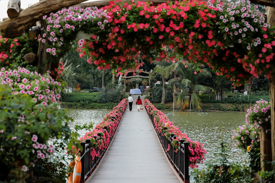 Tin nhanh - Hàng ngàn người “ùn ùn” đổ về ngắm thung lũng hoa tại Hà Nội dịp đầu xuân (Hình 2).