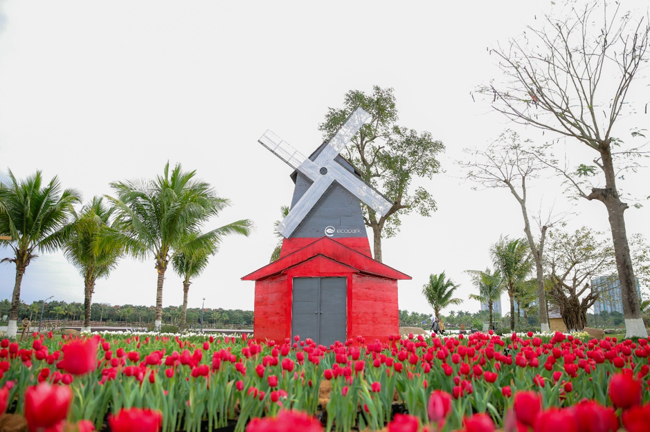 Tin nhanh - Hàng ngàn người “ùn ùn” đổ về ngắm thung lũng hoa tại Hà Nội dịp đầu xuân (Hình 3).