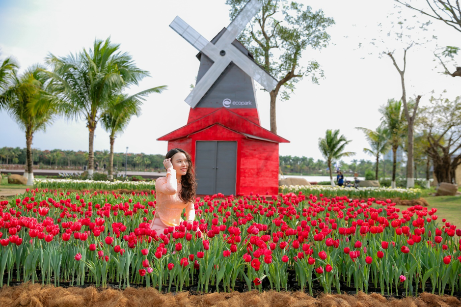 Tin nhanh - Hàng ngàn người “ùn ùn” đổ về ngắm thung lũng hoa tại Hà Nội dịp đầu xuân (Hình 5).