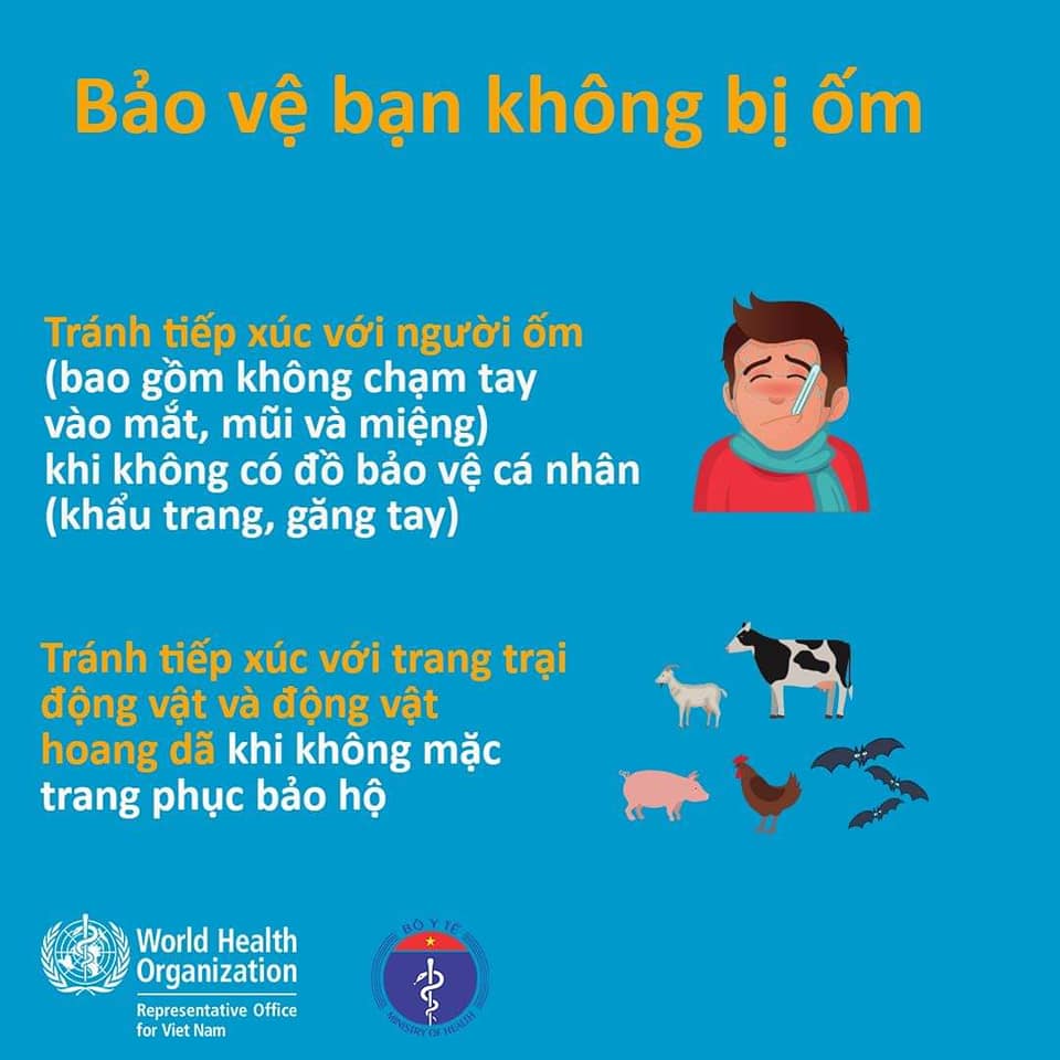 Tin nhanh - Chi tiết khuyến cáo về việc phòng, chống nCoV (Hình 7).