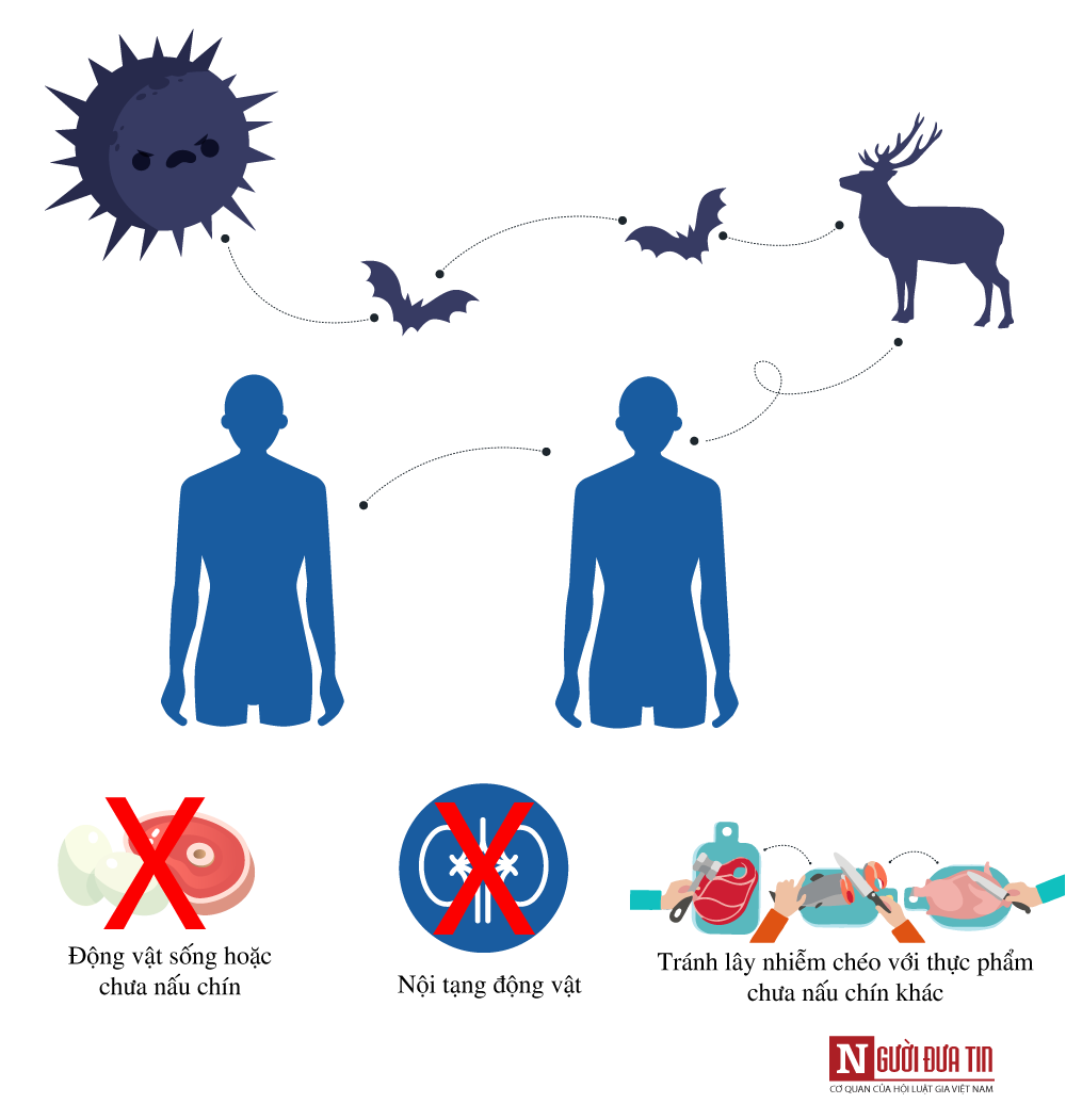 Tin nhanh - [Info]: Virus corona - 21 câu hỏi và trả lời chuẩn từ tổ chức Y tế thế giới (Hình 6).