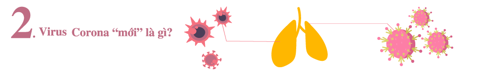 Tin nhanh - [Info]: Virus corona - 21 câu hỏi và trả lời chuẩn từ tổ chức Y tế thế giới (Hình 2).