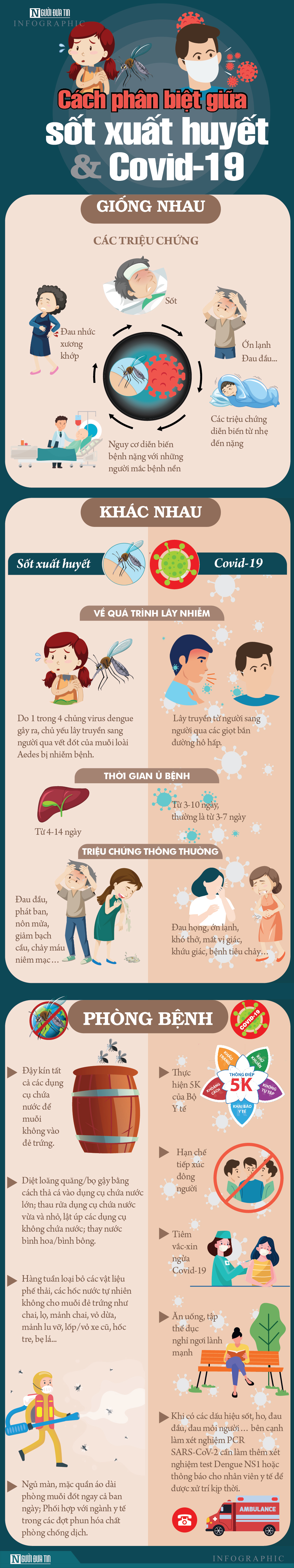 Bình tĩnh sống - Info: Cách phân biệt giữa sốt xuất huyết và Covid-19