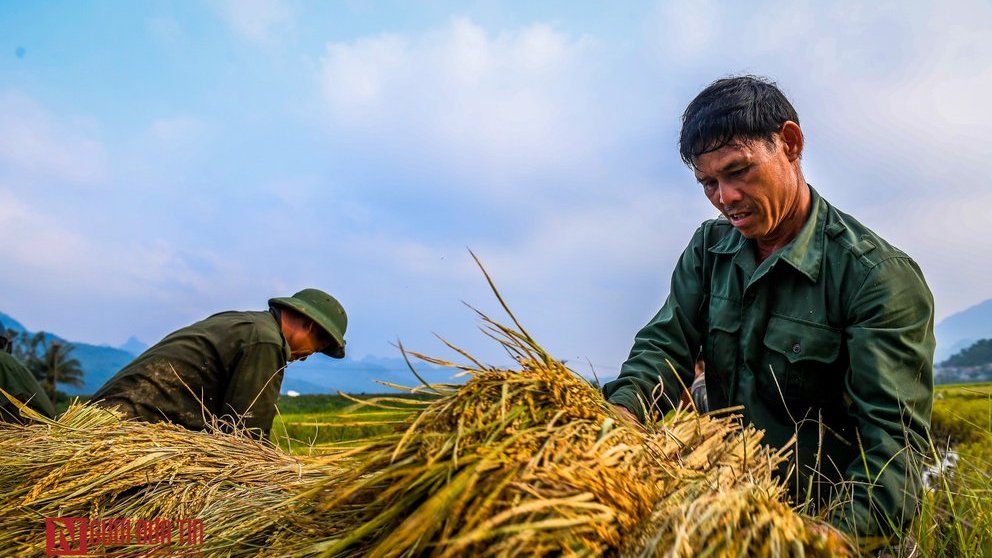 Tiêu điểm - 6 quan điểm trọng tâm và 12 nhiệm vụ, giải pháp chủ yếu năm 2022 (Hình 2).