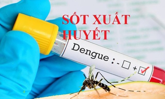 Sức khỏe - Hà Nội: Tăng cường các biện pháp phòng, chống sốt xuất huyết