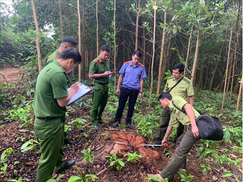 Tiêu điểm - Chi Hội luật gia VKSND tỉnh Hòa Bình “vì dân vì công lý' (Hình 3).