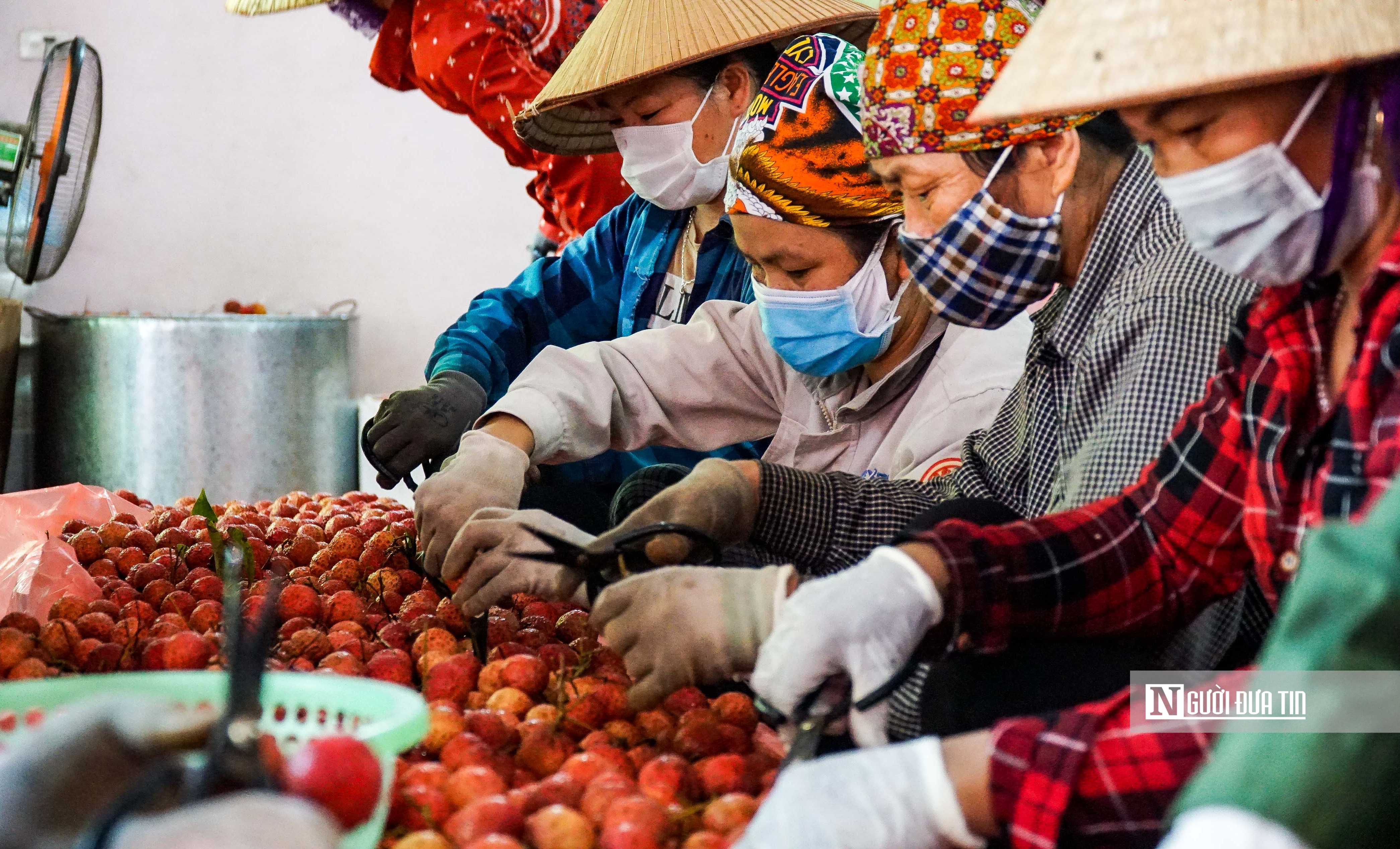 Chính sách - Thủ tướng yêu cầu chi trả kịp thời tiền lương, thưởng cho người lao động