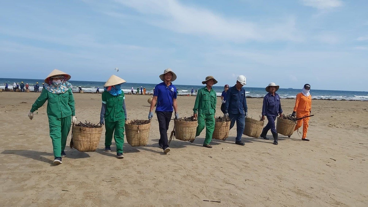 Môi trường - Hàng chục tấn rác bất ngờ “tấn công” bờ biển Vũng Tàu sau một đêm, công nhân gồng mình thu gom (Hình 2).