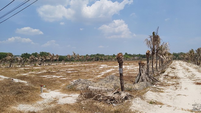 Hồ sơ điều tra - Giám đốc công ty “vẽ” dự án “ma” ở Bà Rịa – Vũng Tàu lừa đảo hàng chục tỷ (Hình 2).