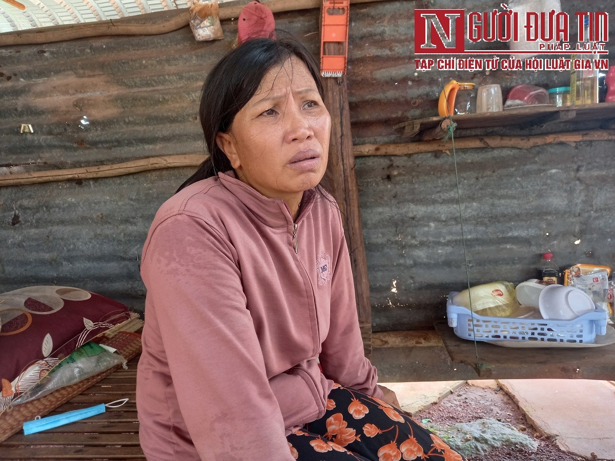 Tin nhanh - Vợ chồng nông dân 'khóc ròng' vì hàng trăm gốc cây ăn trái bị chặt phá trong đêm (Hình 5).