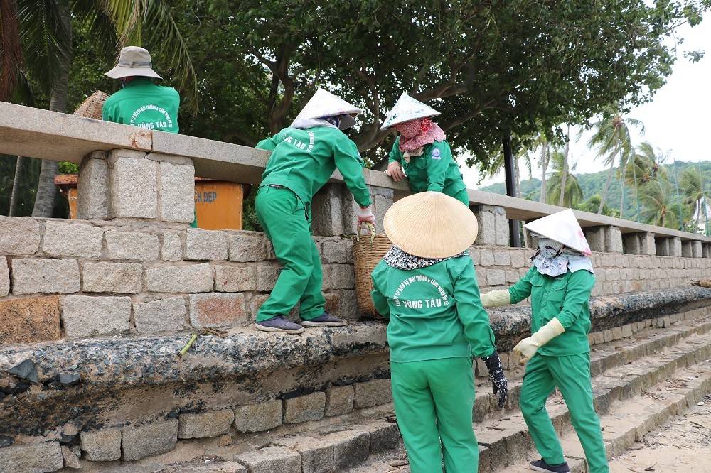 Môi trường - Chùm ảnh: Bèo lục bình 'bủa vây' biển bãi Trước Vũng Tàu (Hình 6).