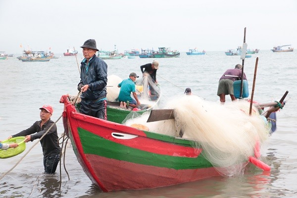 Dân sinh - Ngư dân Vũng Tàu phấn khởi 'rủ lưới nhặt cá' sau vài giờ ra biển (Hình 11).