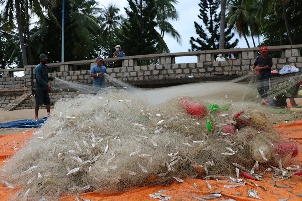 Dân sinh - Ngư dân Vũng Tàu phấn khởi 'rủ lưới nhặt cá' sau vài giờ ra biển (Hình 4).