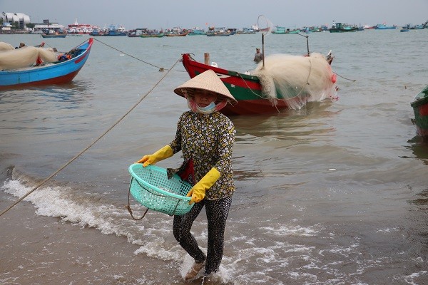 Dân sinh - Ngư dân Vũng Tàu phấn khởi 'rủ lưới nhặt cá' sau vài giờ ra biển (Hình 6).