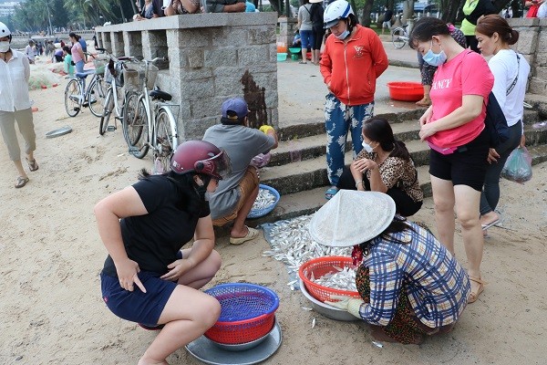 Dân sinh - Ngư dân Vũng Tàu phấn khởi 'rủ lưới nhặt cá' sau vài giờ ra biển (Hình 8).