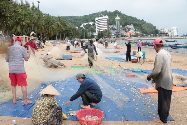 Dân sinh - Ngư dân Vũng Tàu phấn khởi 'rủ lưới nhặt cá' sau vài giờ ra biển