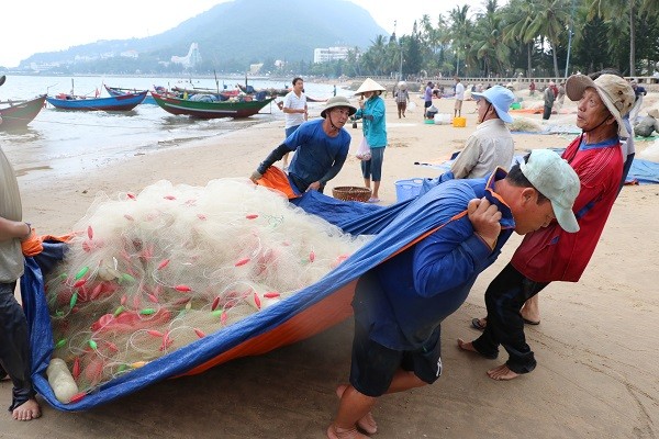 Dân sinh - Ngư dân Vũng Tàu phấn khởi 'rủ lưới nhặt cá' sau vài giờ ra biển (Hình 2).