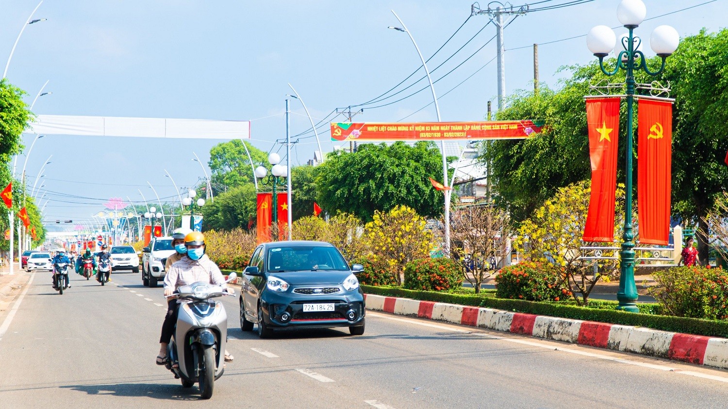 Dân sinh - Ngắm đường hoa mai độc đáo trên dải phân cách ở Bà Rịa - Vũng Tàu (Hình 6).