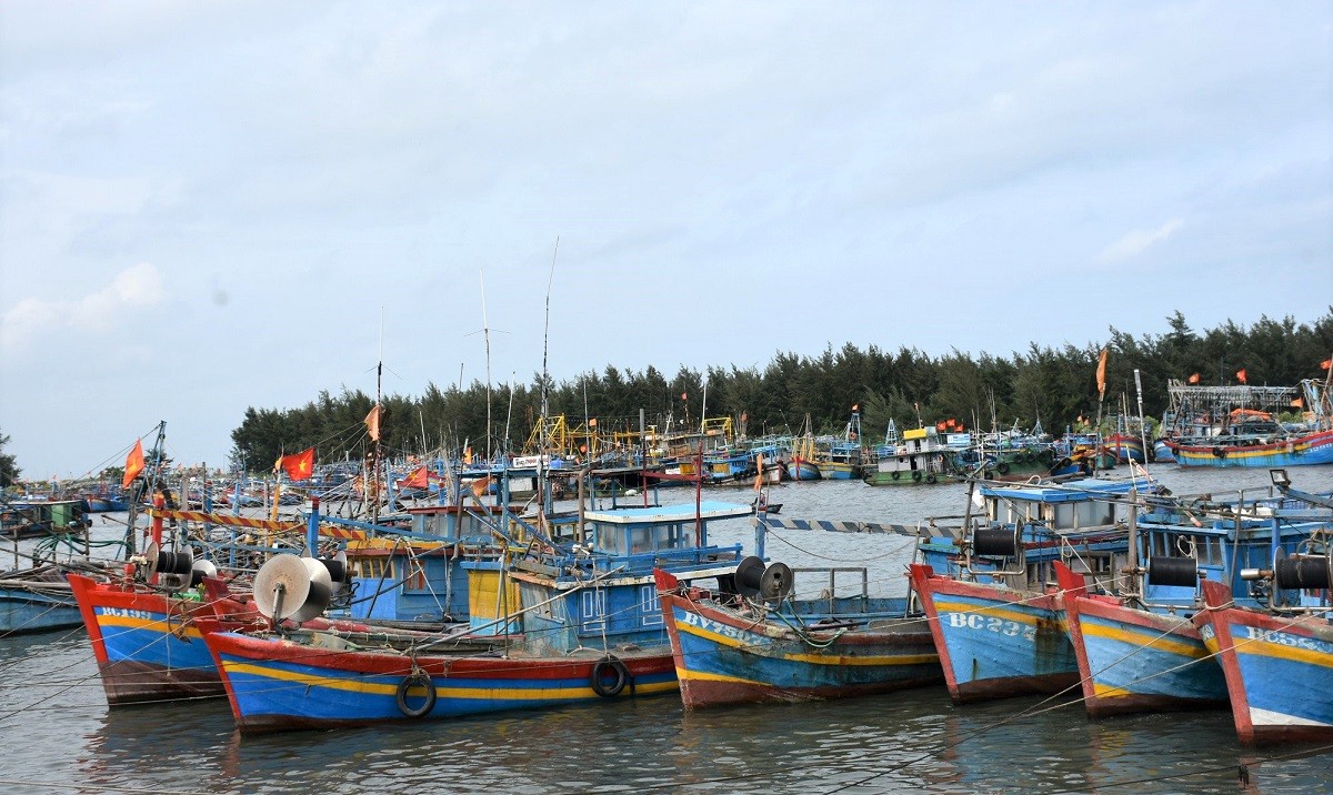 Dân sinh - Bà Rịa - Vũng Tàu phạt chủ tàu và thuyền trưởng tàu cá gần 1,4 tỷ đồng