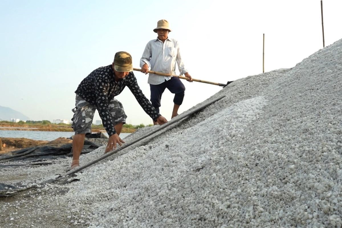 Dân sinh - Nhọc nhằn nghề làm muối, diêm dân Bà Rịa - Vũng Tàu kỳ vọng được giá (Hình 2).