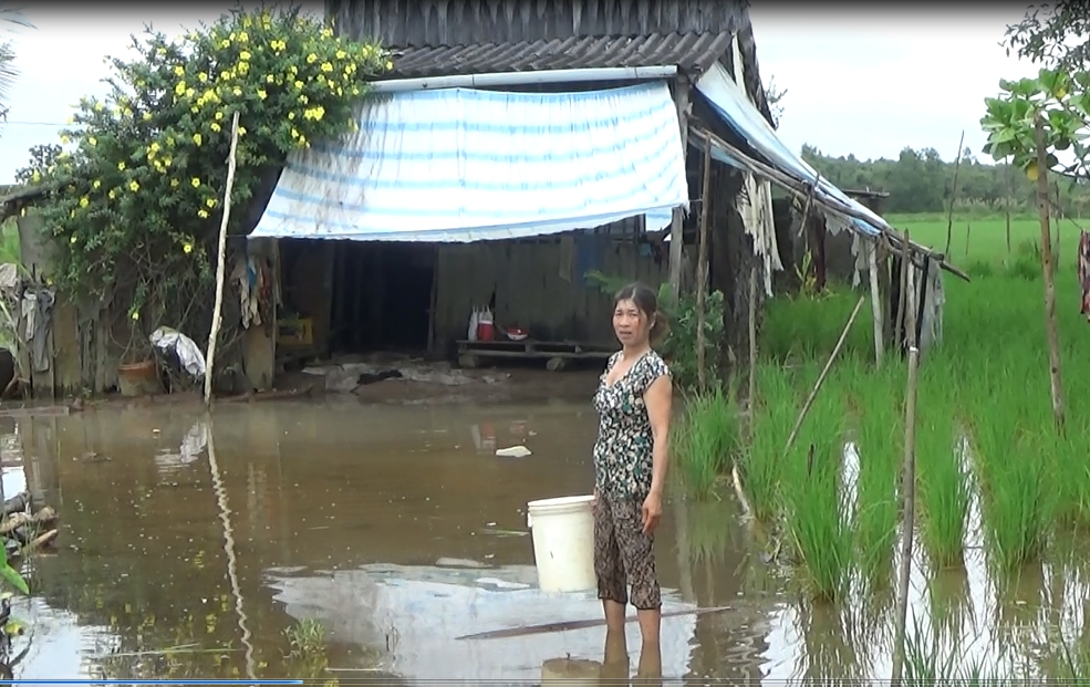 Xã hội - Cà Mau tăng cường giải pháp ứng phó với triều cường, mưa lũ (Hình 3).