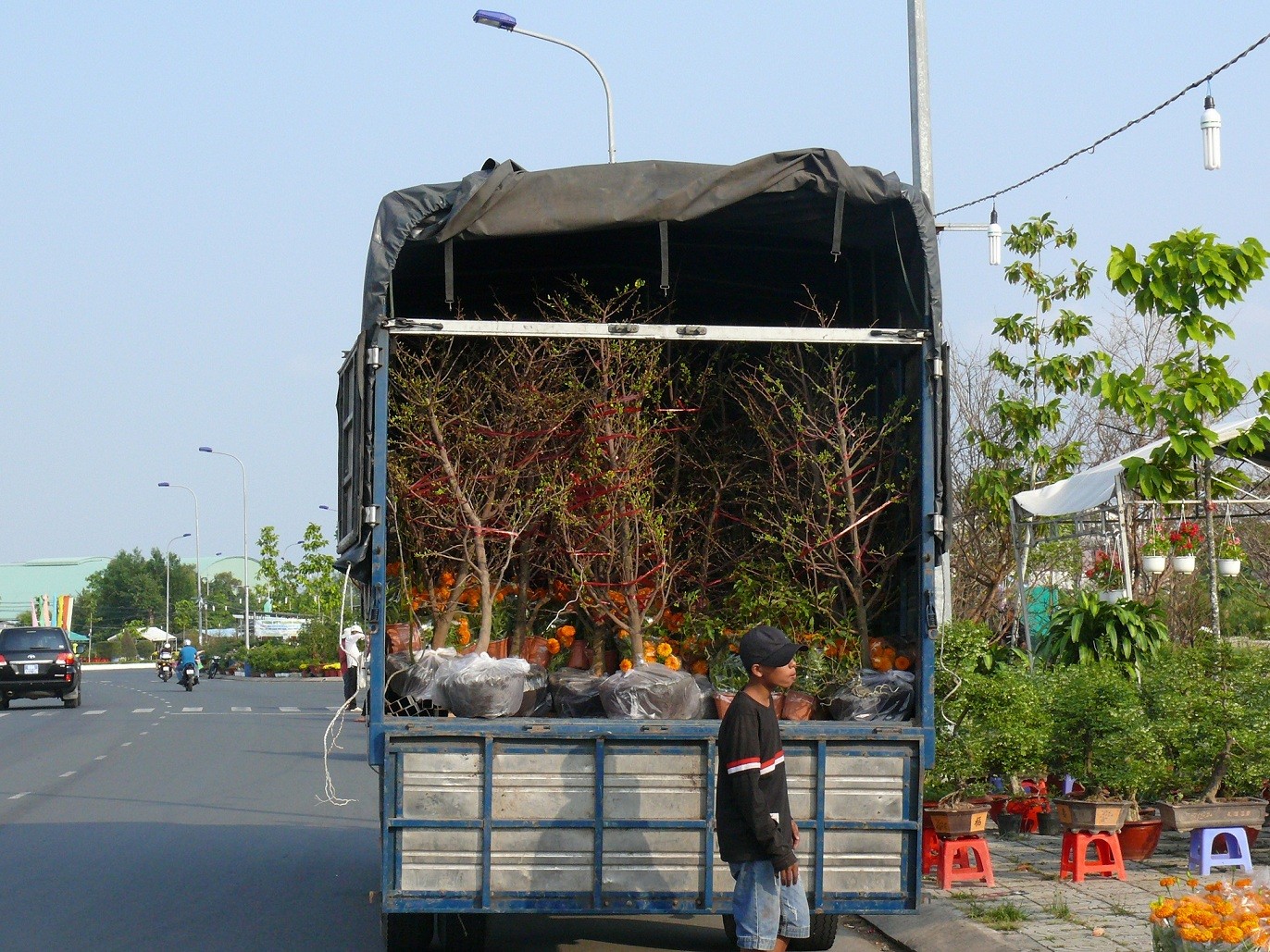 Những chiếc xe tải vận chuyển hoa đến trưng bày phục vụ Tết.

