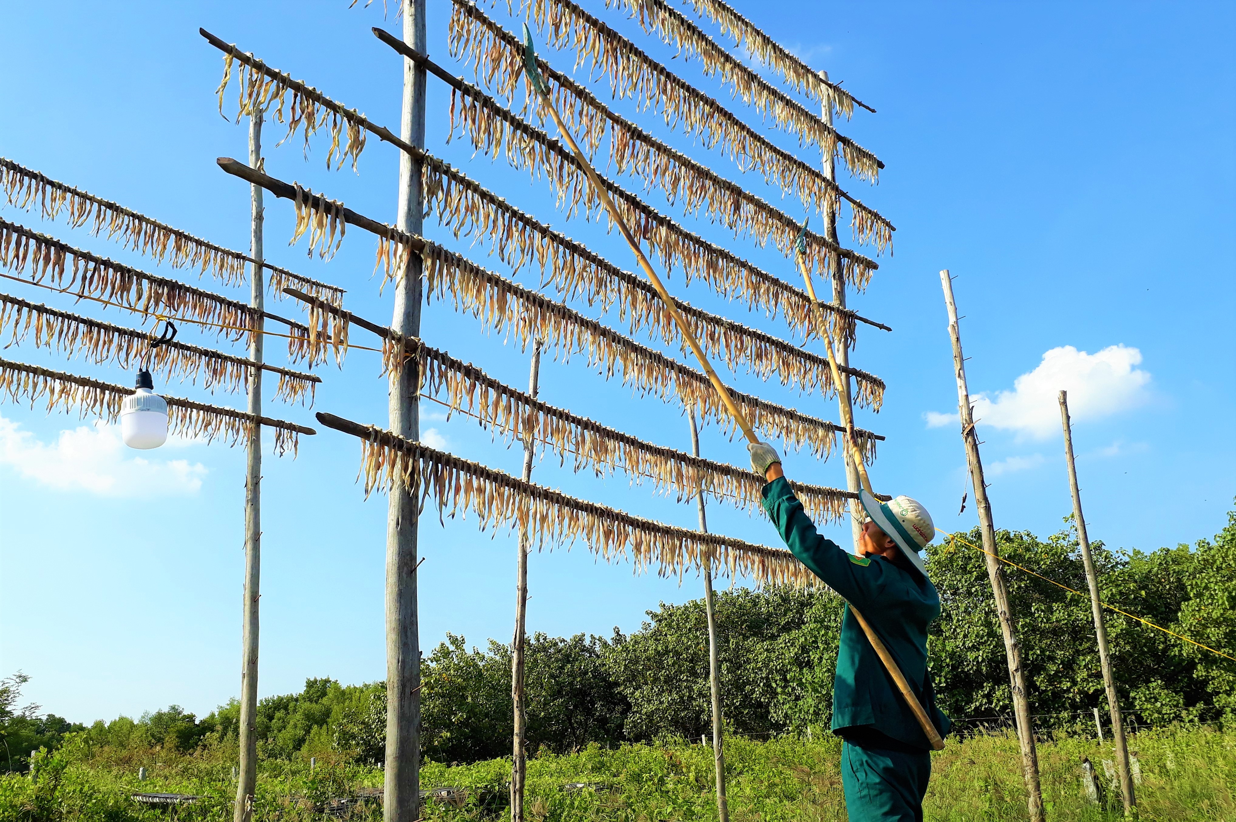 Tin nhanh - Nhộn nhịp làng nghề khô bổi nơi cực Nam Tổ quốc dịp Tết Nguyên đán (Hình 3).