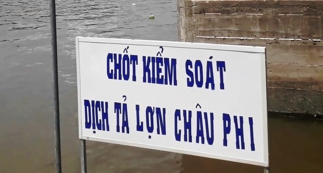 Tin nhanh - Bạc Liêu: Vì sao chưa thể hỗ trợ người dân có heo nhiễm dịch tả châu Phi?