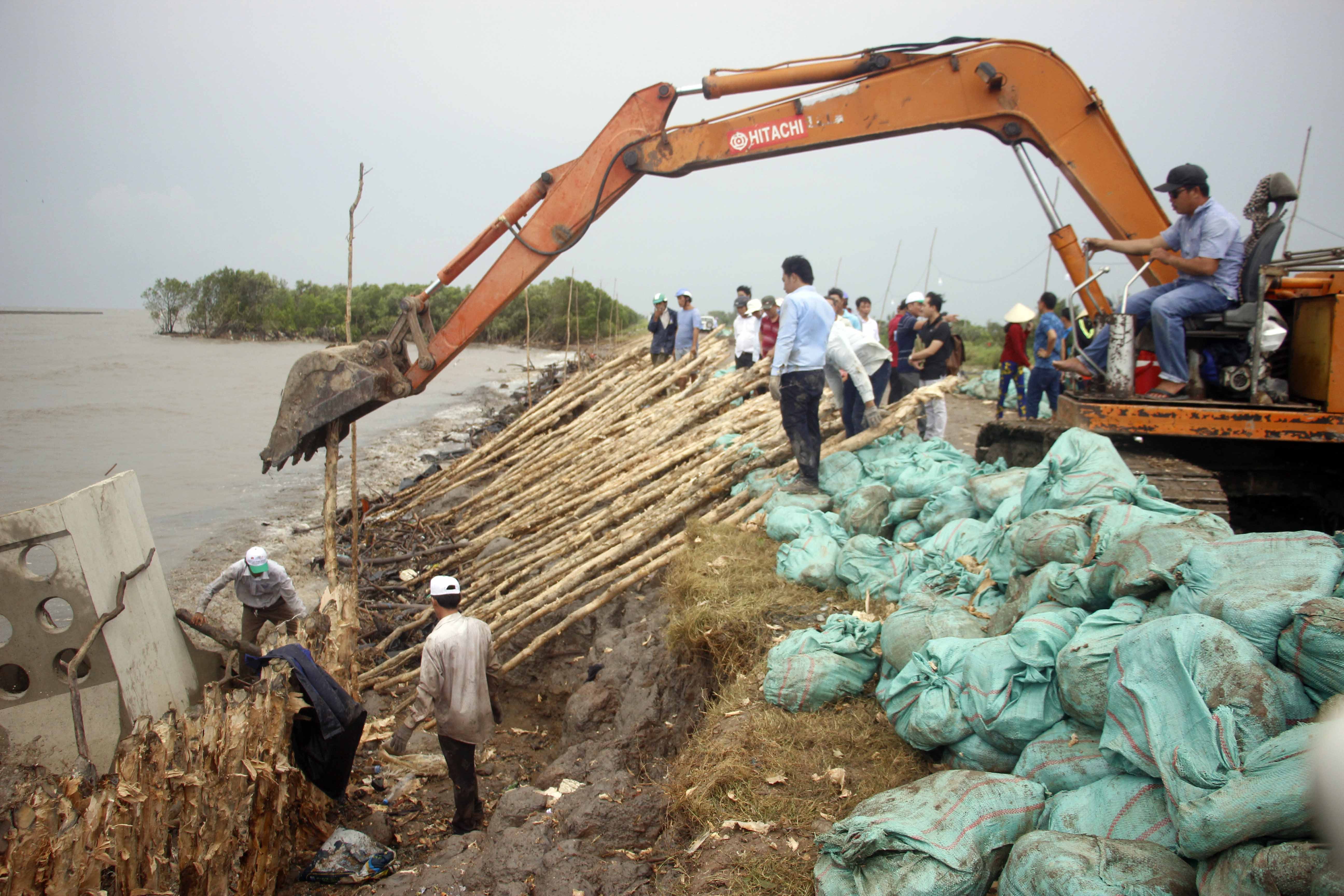 Tin nhanh - Cà Mau túc trực 24/24 đề phòng tình huống xấu xảy ra ở đê biển Tây