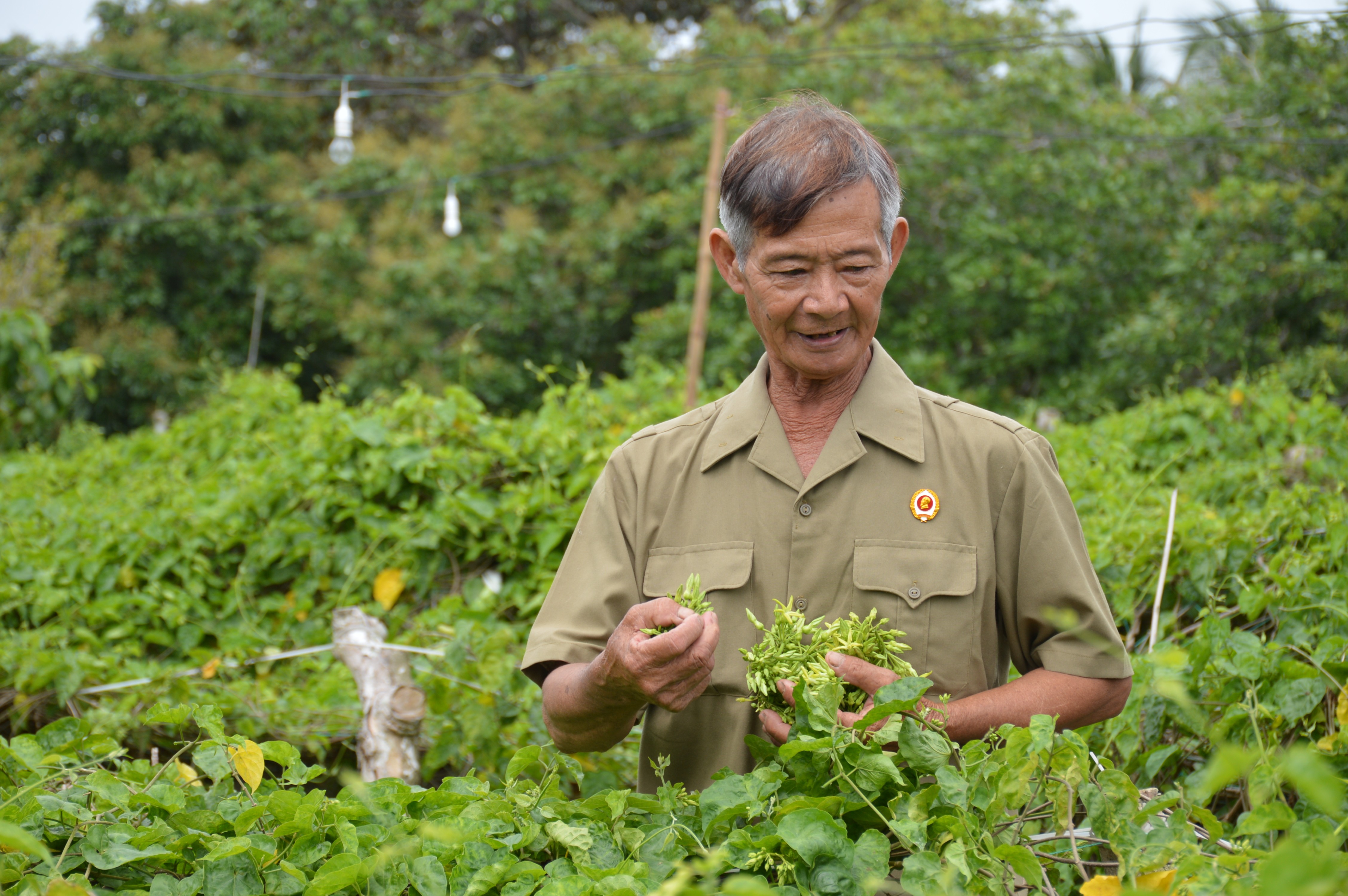 Tin nhanh - Hành trình chinh phục thiên nhiên của lão nông đưa trái ngọt về rừng U Minh, làm du lịch như chuyên gia (Hình 2).