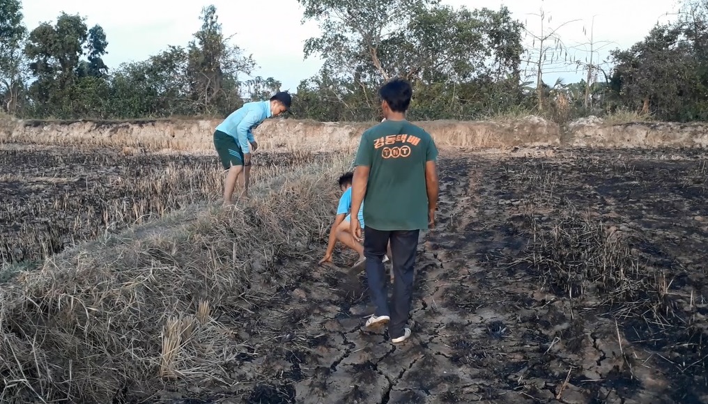 Tin nhanh - Cà Mau: Cháy ruộng lúa của 3 hộ dân đang chuẩn bị thu hoạch