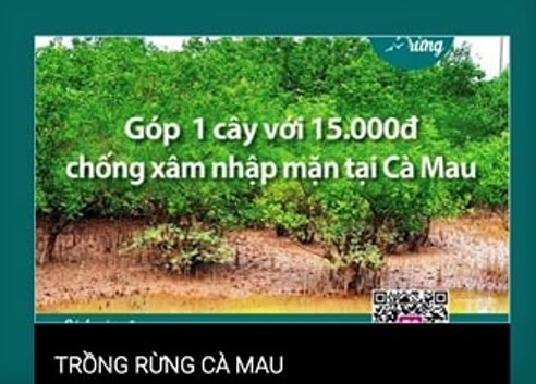 Tin nhanh - Vụ “góp tiền trồng rừng” tại Mũi Cà Mau: Do không nắm rõ quy trình, thủ tục