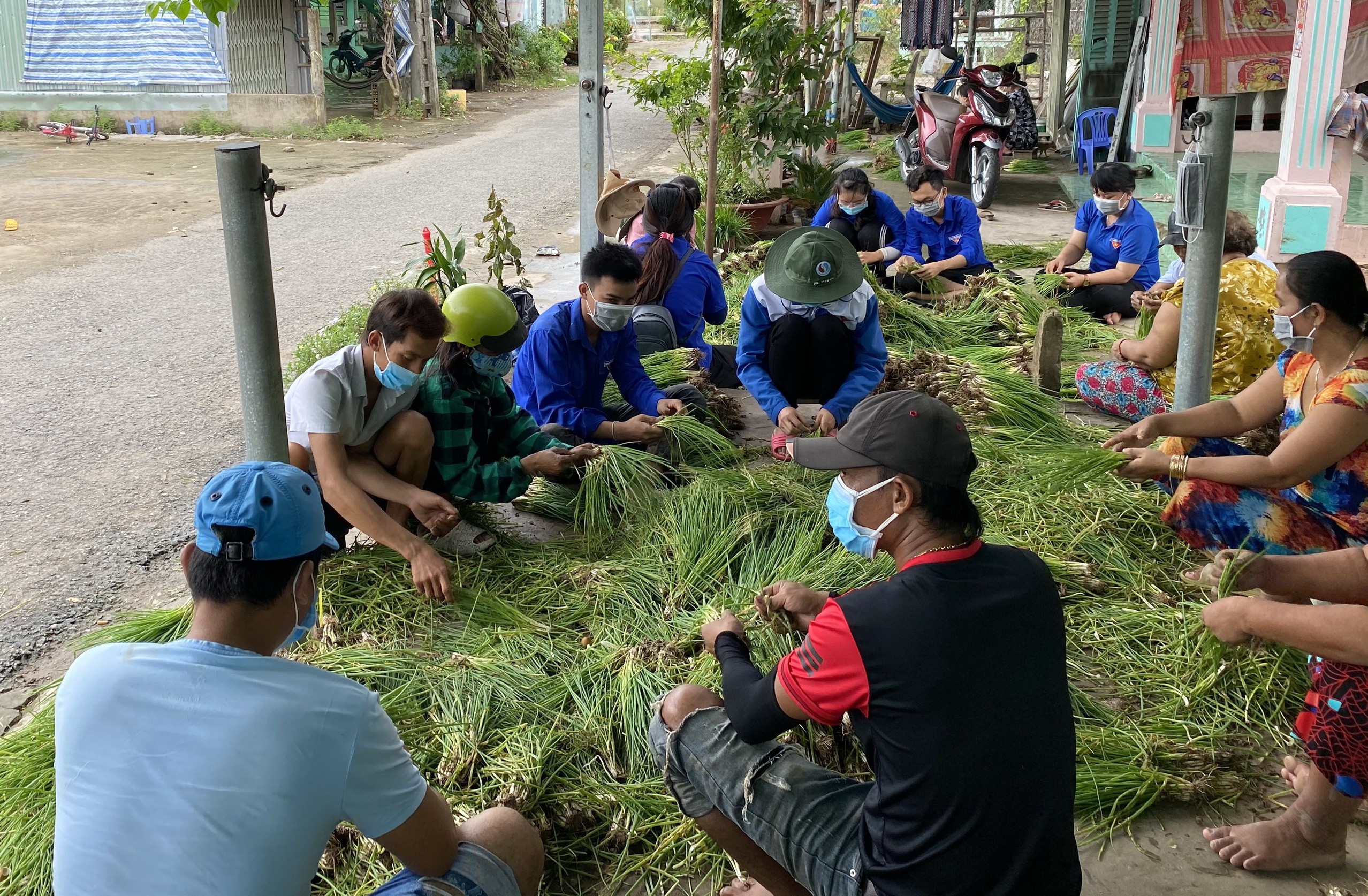 Dân sinh - Bạc Liêu: Hỗ trợ nông dân gặp khó khăn do dịch Covid-19 (Hình 2).