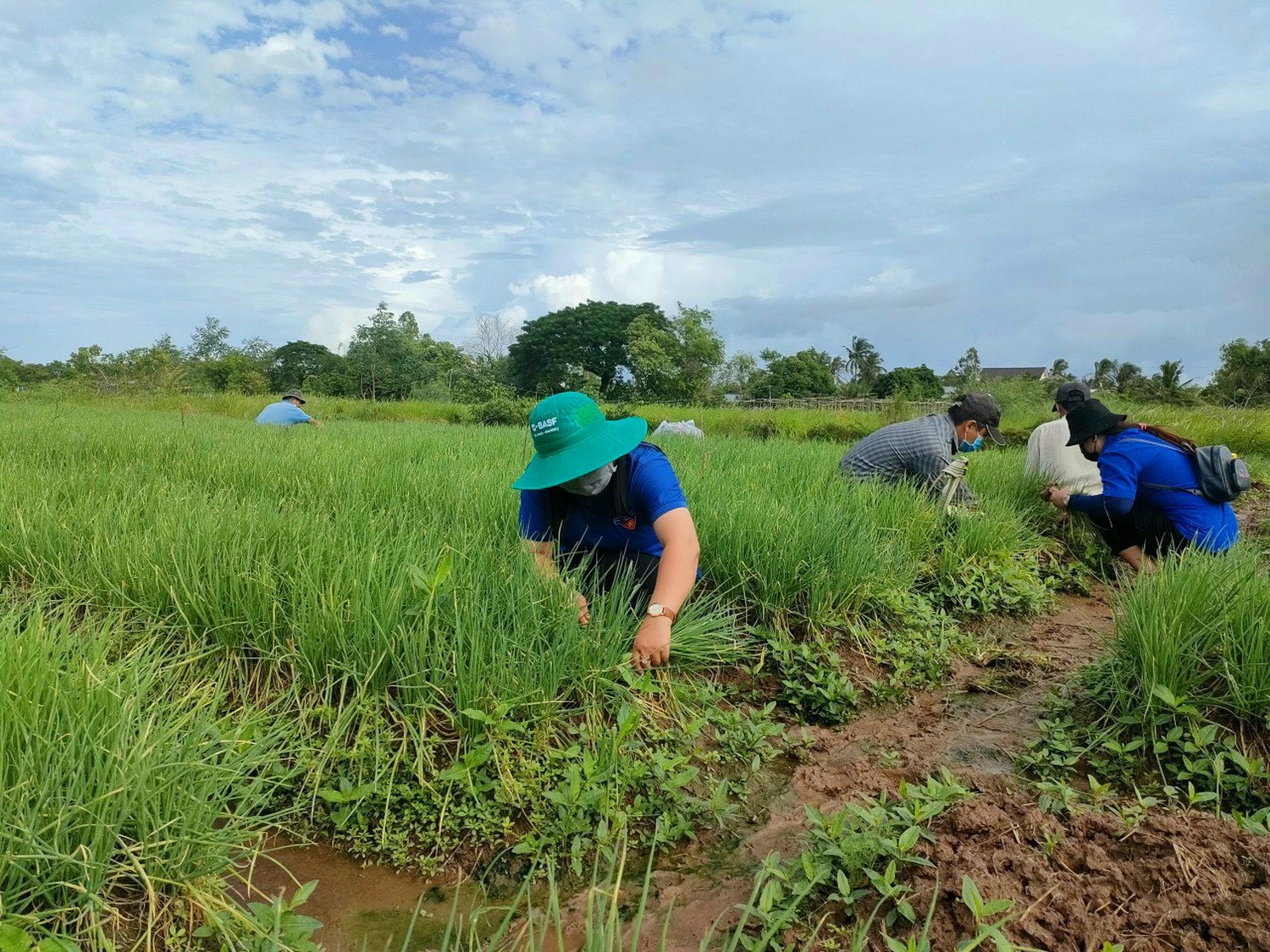 Dân sinh - Bạc Liêu: Hỗ trợ nông dân gặp khó khăn do dịch Covid-19