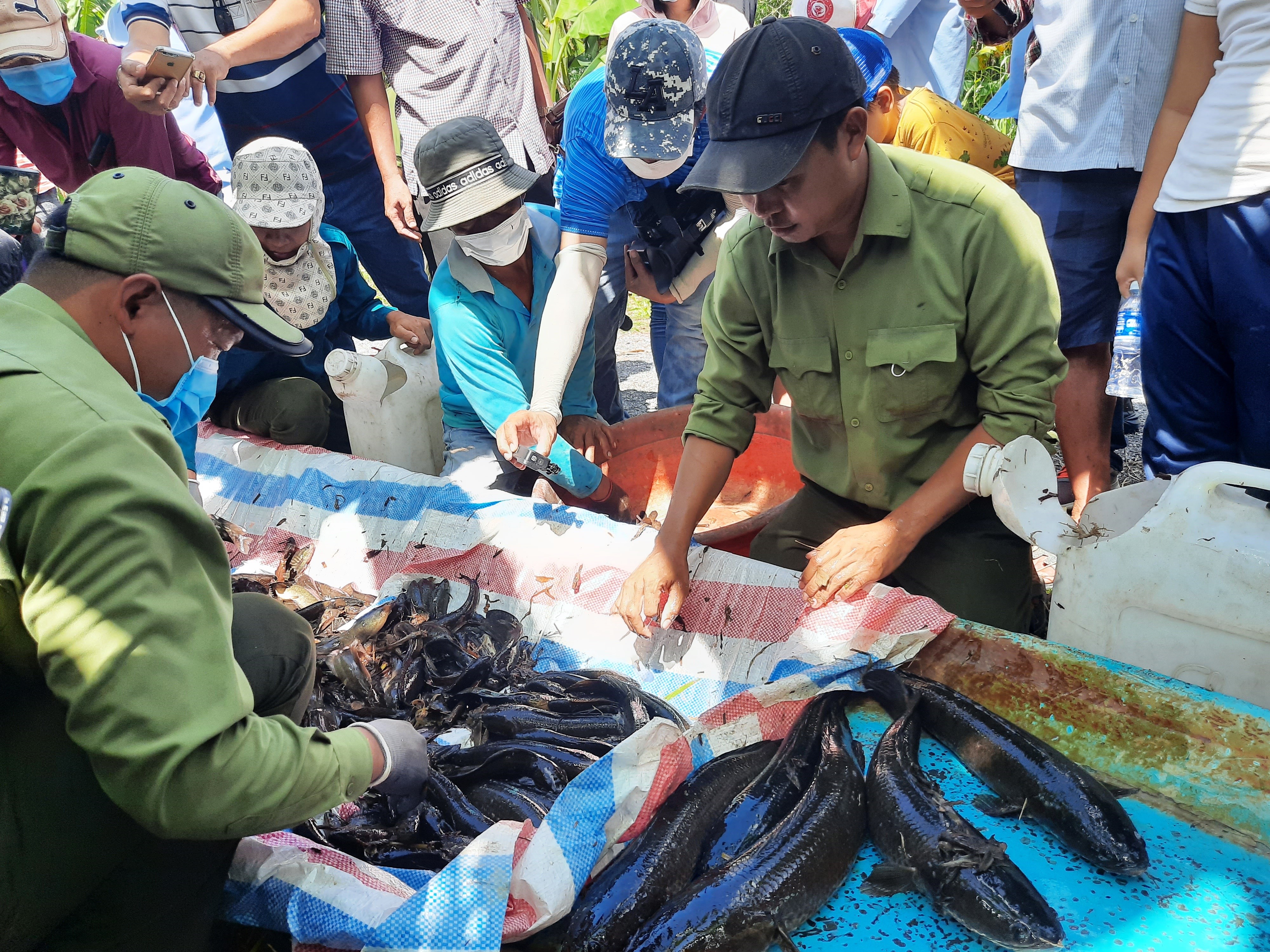 Văn hoá -  “Hương rừng U Minh”: Nét đặc trưng của vùng sông nước Cà Mau (Hình 4).