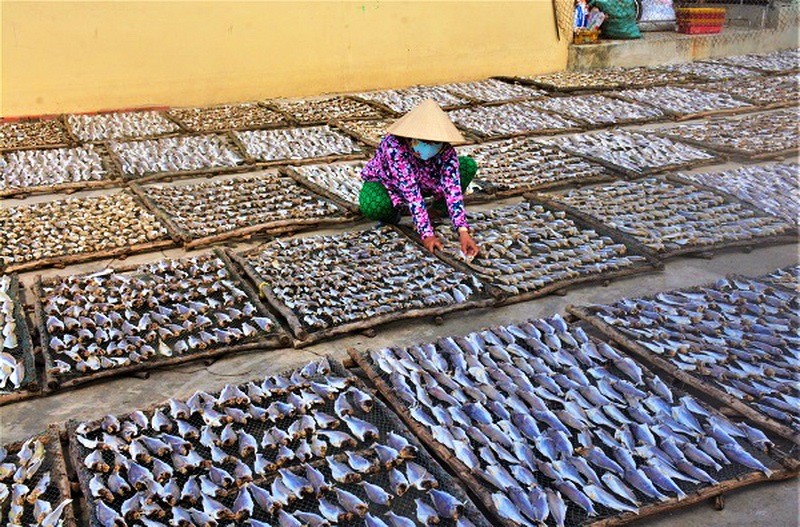 Dân sinh - Làng biển ở Cà Mau đón mùa Xuân mới  (Hình 2).