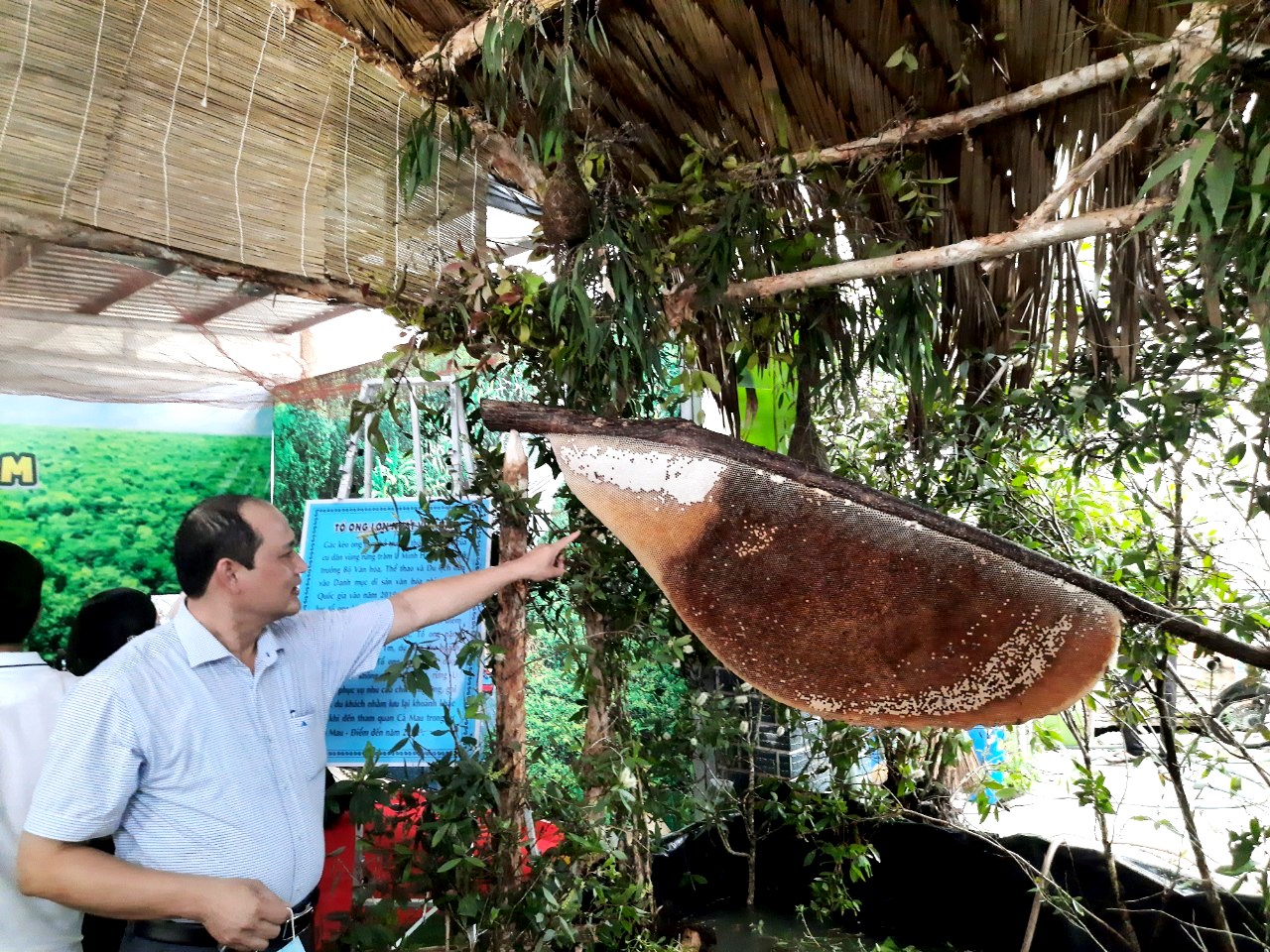 Văn hoá - Cà Mau: Xác lập kỷ lục tổ ong và lẩu mắm lớn nhất Việt Nam