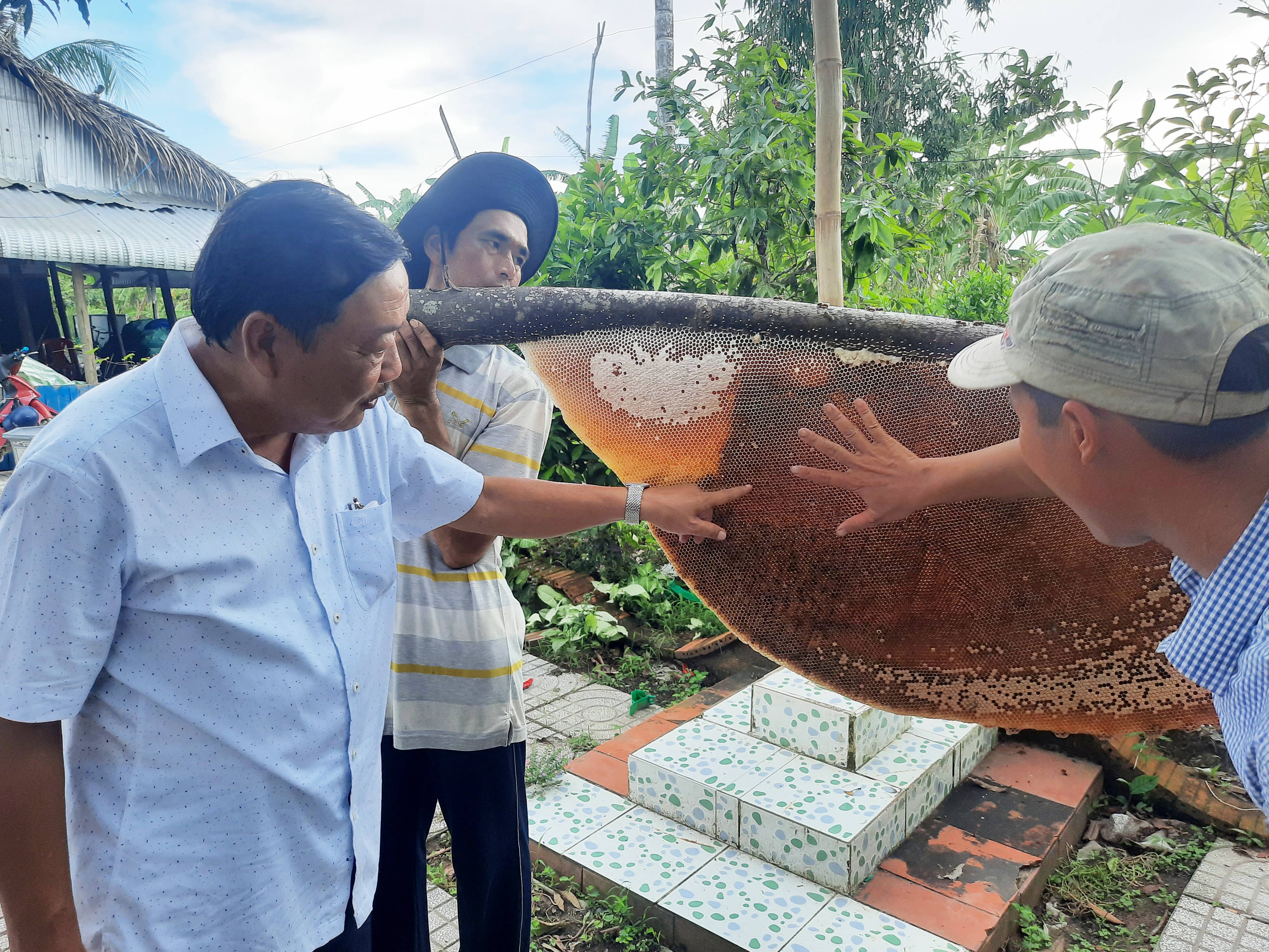 Dân sinh - Về U Minh chiêm ngưỡng tổ ong, nồi lẩu mắm lớn nhất nước (Hình 4).