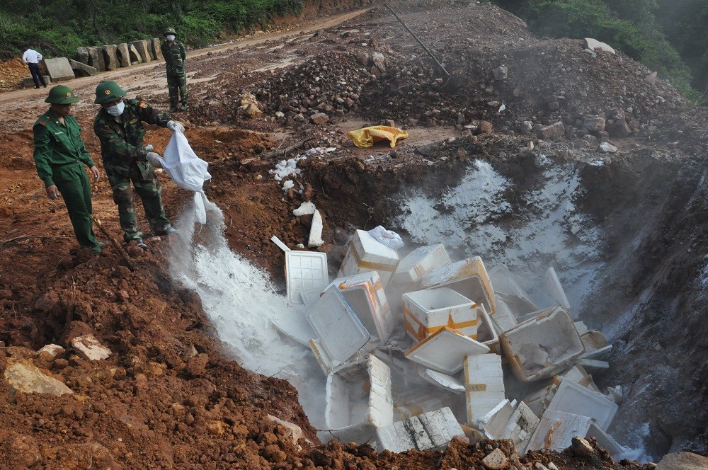 Xã hội - Quảng Ninh: Thu giữ và tiêu hủy hơn 1 tấn cá khoai bốc mùi hôi thối