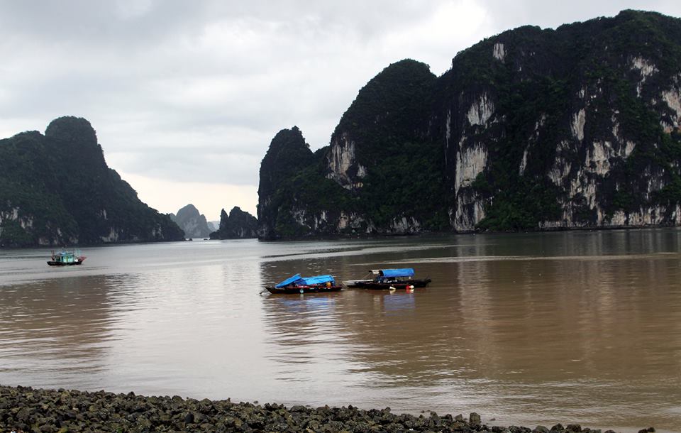 Môi trường - Quảng Ninh: Làm rõ dải nước màu đỏ đục xuất hiện trên vịnh Hạ Long