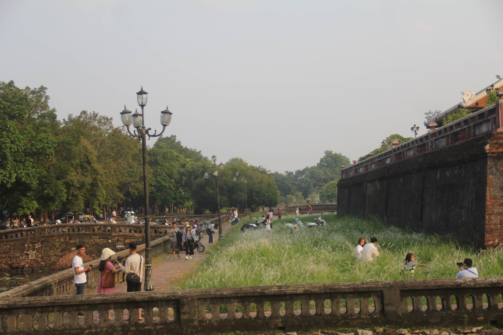 Những địa điểm có bông tranh nở nhiều ở Huế như đường Hai mươi ba tháng Tám, Lê Huân hay bên cạnh Kỳ Đài… 