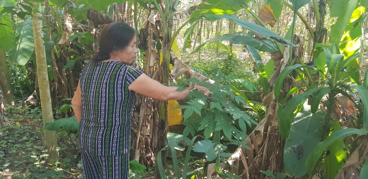 Môi trường - Huế: Đi tìm nguyên nhân mùi hôi của mương nước chảy ra từ nhà máy nước sạch  (Hình 2).