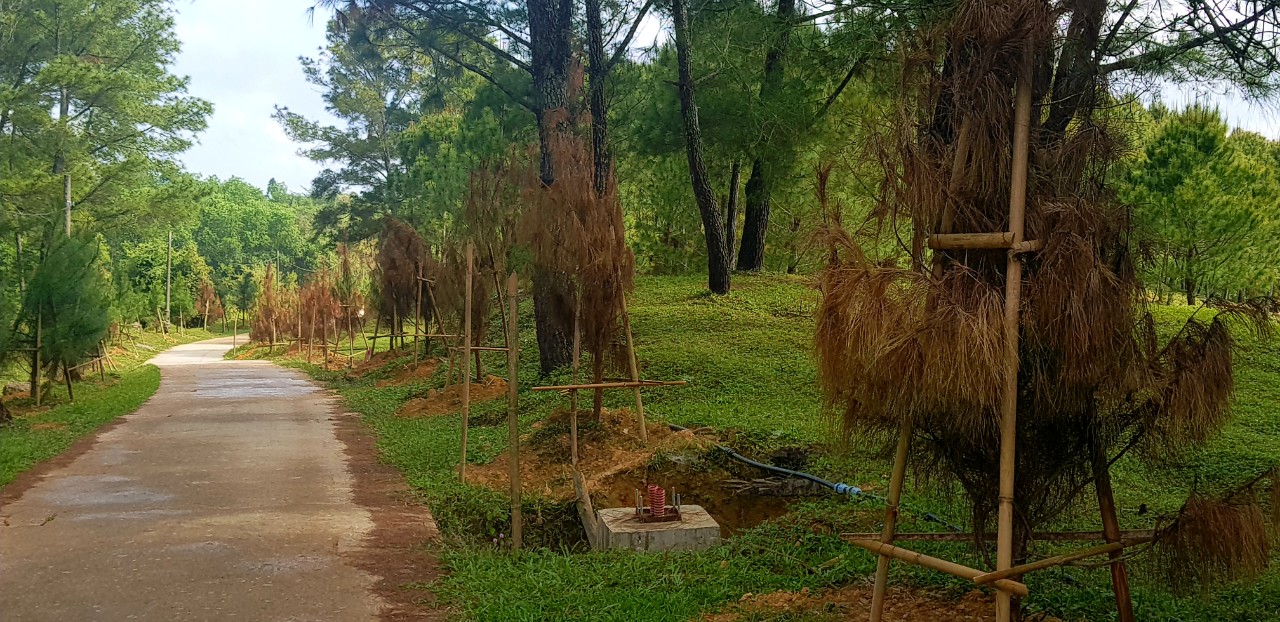 Tin nhanh - Chuyện trên 1,5km đường đầu tư hơn 19 tỷ đồng dẫn vào di sản lăng vua (Hình 13).