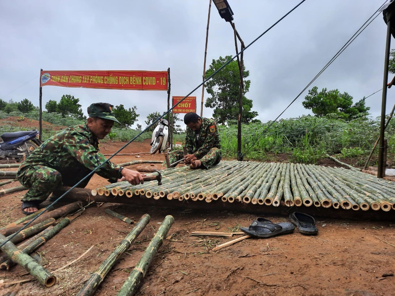 Dân sinh - Ấn tượng vườn rau xanh tươi, đàn gà béo múp tại các chốt kiểm soát Covid-19 vùng biên Quảng Trị (Hình 5).